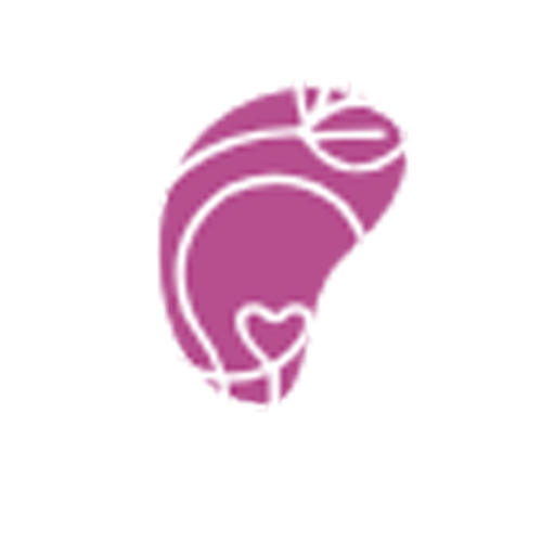 High Brightness icon